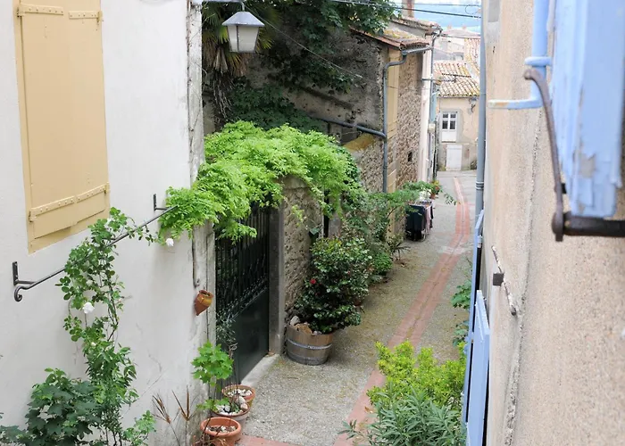 Maison Rives - Village Du Livre De Montolieu