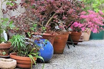 Maison Rives - Village Du Livre De